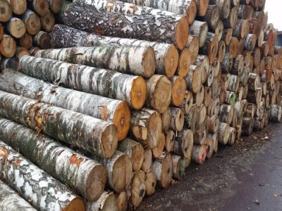 Дрова берёзовые